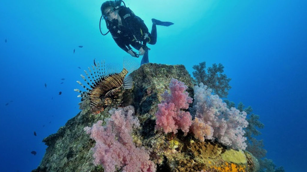 dyka och snorkla på Mauritius